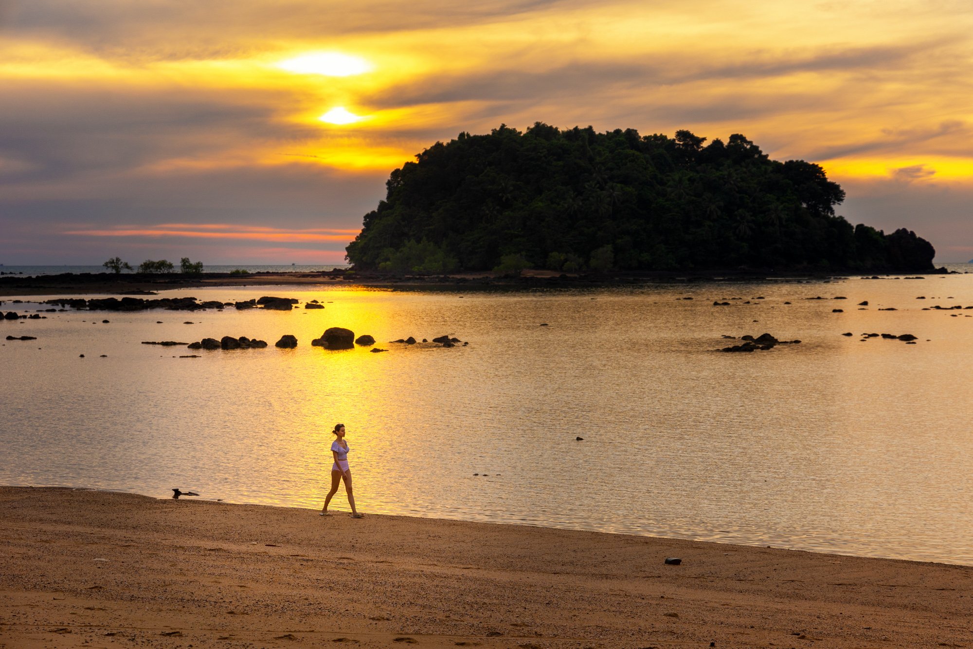 7e56e2b8 ffa0 496e aeac 3fa842670602