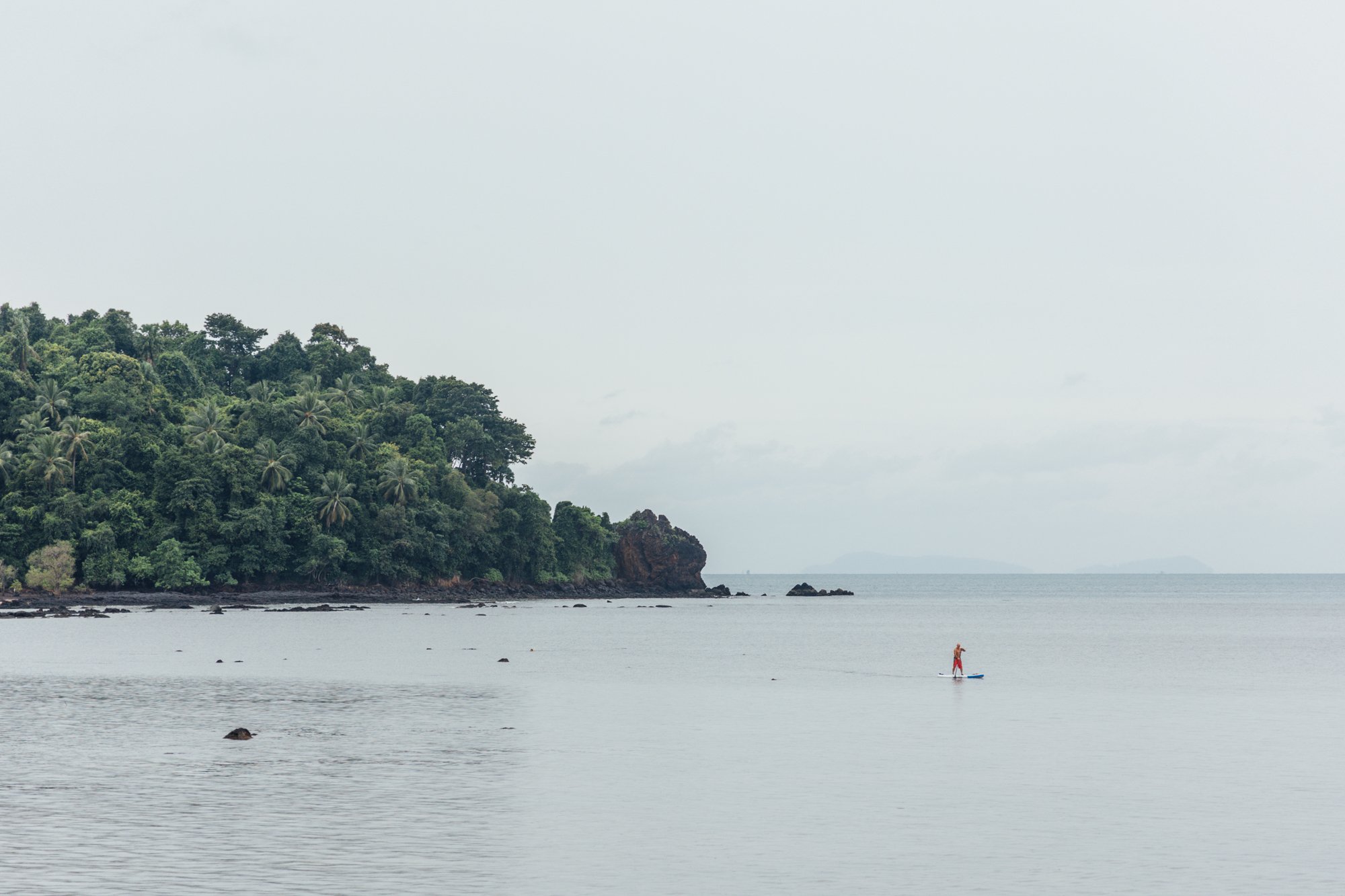 a2547435 911f 4882 8206 5f225e2c12b0